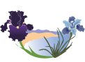 Monterey Bay Iris Society